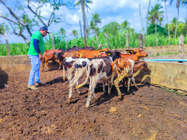 
Programa Mais Pecuária Brasil traz resultados e já registra nascimento de bezerros em Alhandra através de parceria

