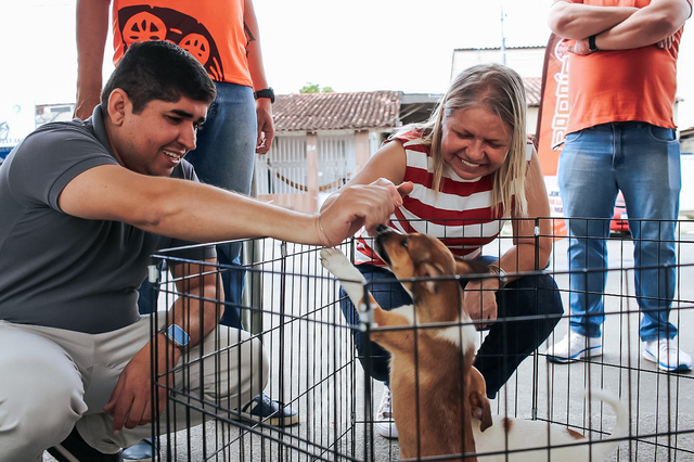 Programa Alhandra Mais Pet garante castração gratuita e amplia cuidados com cães e gatos 