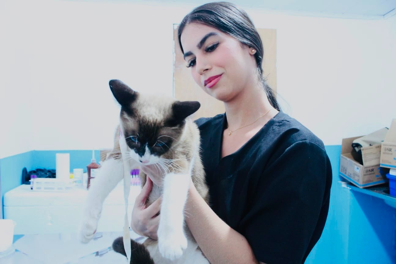 Paraíba Pet: Prefeitura de Alhandra e Governo do Estado iniciam cadastramento de cães e gatos para castração